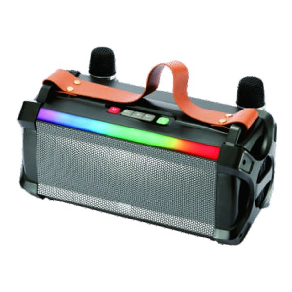 WSTER WS-1971 Portable Karaoke Bluetooth Speaker - view 2