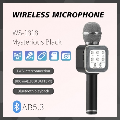 microfone karaok&ecirc; WSTER WS-1818