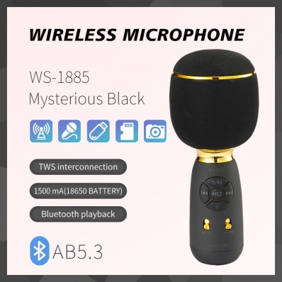 Microfono karaoke WSTER WS-1885
