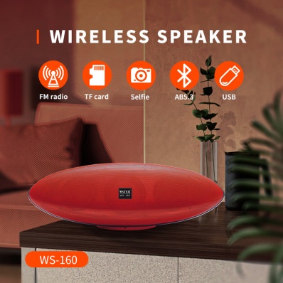 مكبر صوت بلوتوث WSTER WS-160