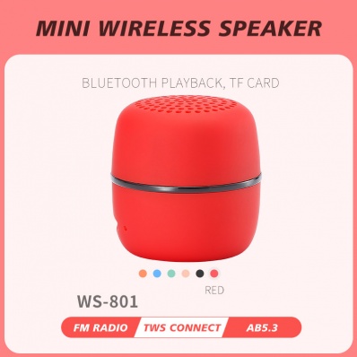 WSTER WS-801 mini bluetooth speaker
