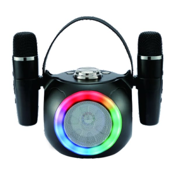 WSTER WS-1970 Speaker Bluetooth portatile per karaoke - visualizza 2