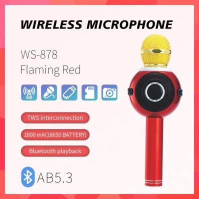 microfono karaoke WSTER WS-878