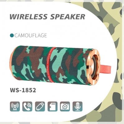 Enceinte Bluetooth WSTER WS-1852