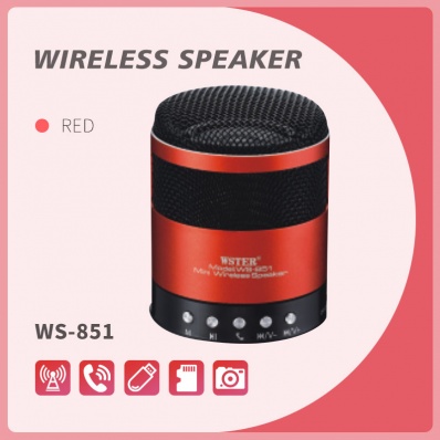 WSTER WS-851 Bluetooth-Lautsprecher