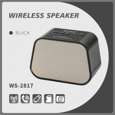 WSTER WS-2817 bluetooth speaker