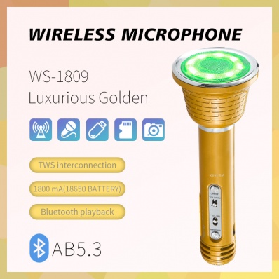 WSTER WS-1809 microfono karaoke