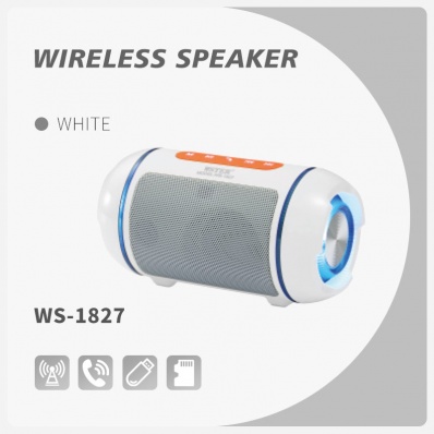 altoparlante bluetooth WSTER WS-1627