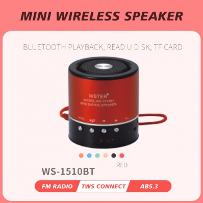 WSTER WS-1510BT Mini-Bluetooth-Lautsprecher
