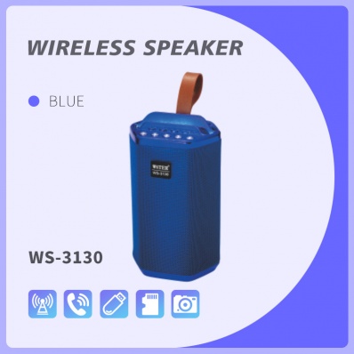 WSTER WS-3130 Bluetooth-Lautsprecher
