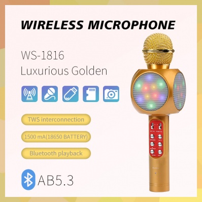 microfone karaok&ecirc; WSTER WS-1816