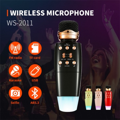 WSTER WS-2011 microfono karaoke