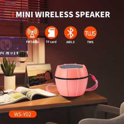 WSTER WS-Y02 mini bluetooth speaker