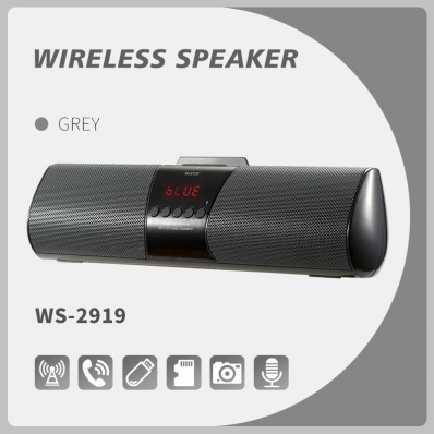 WSTER WS-2919 bluetooth speaker