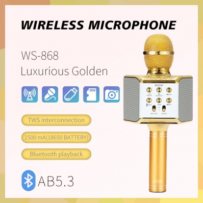 micro karaok&eacute; WSTER WS-868