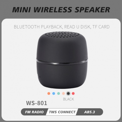 WSTER WS-801 mini bluetooth speaker