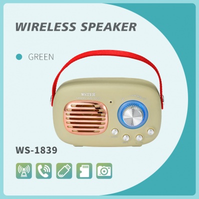 diffusore bluetooth WSTER WS-1839