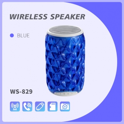 alto-falante bluetooth WSTER WS-829