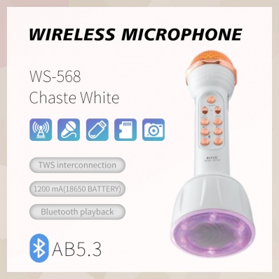 microfone karaok&ecirc; WSTER WS-568