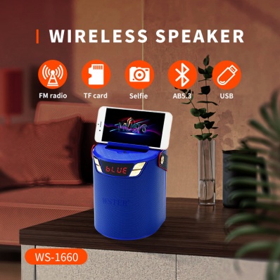 WSTER WS-1660 bluetooth speaker