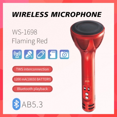 WSTER WS-1698 Karaoke-Mikrofon