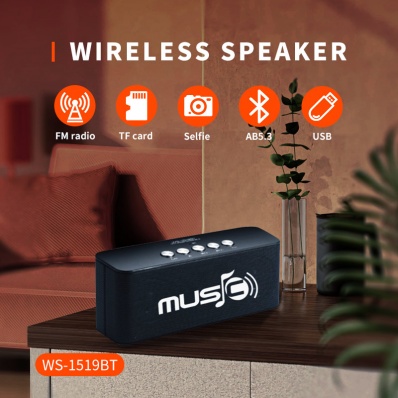 WSTER WS-1519BT bluetooth speaker