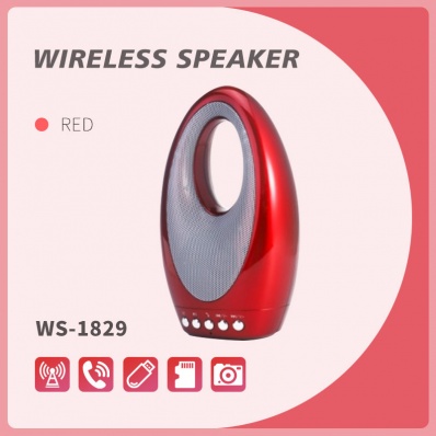 مكبر صوت بلوتوث WSTER WS-1829