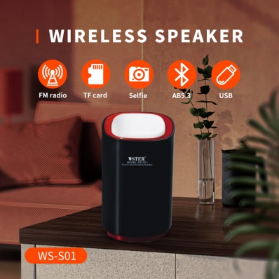 Alto-falante bluetooth WSTER WS-S01