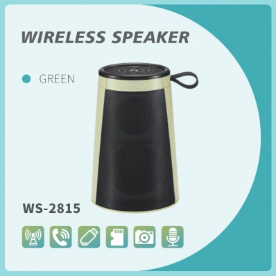 WSTER WS-2815 bluetooth speaker