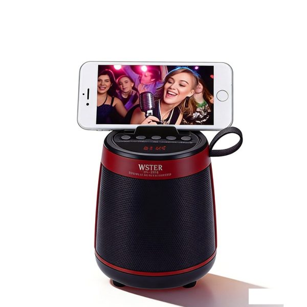 Kabelloser Bluetooth-Lautsprecher WS-2816 mit UKW-Radio und USB/TF-Aufnahme