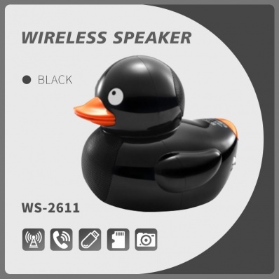 WSTER WS-2611 bluetooth speaker