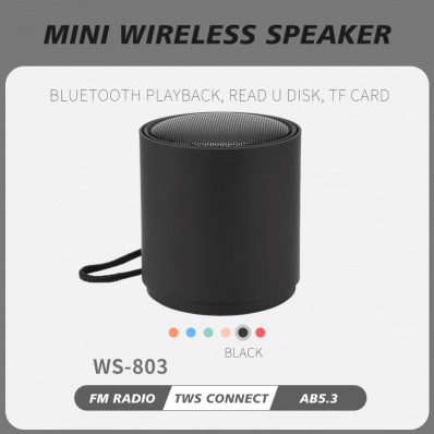 WSTER WS-803 mini bluetooth speaker