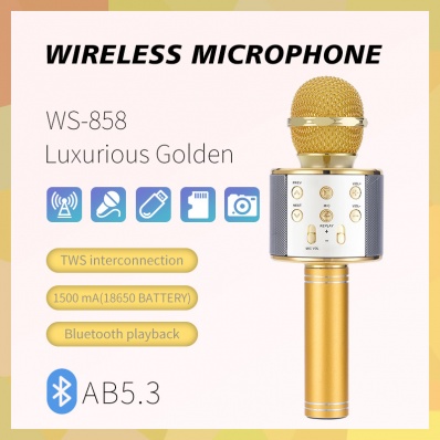 Microfono karaoke WSTER WS-858