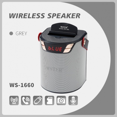 WSTER WS-1660 bluetooth speaker