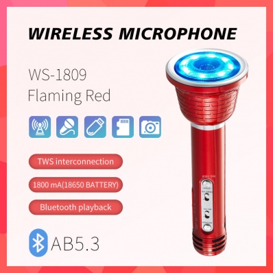 WSTER WS-1809 microfono karaoke