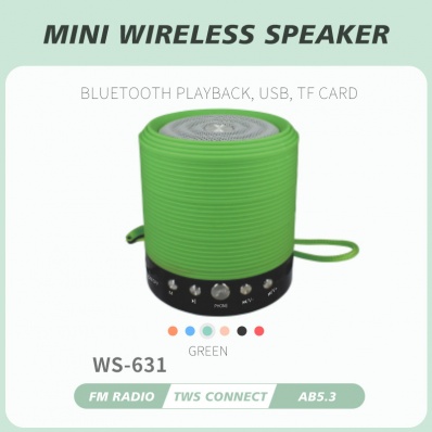 WSTER WS-631 Mini-Bluetooth-Lautsprecher