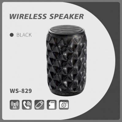 alto-falante bluetooth WSTER WS-829