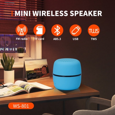 WSTER WS-801 mini bluetooth speaker