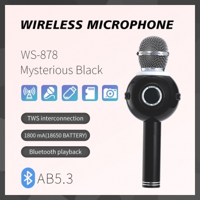 microfono karaoke WSTER WS-878