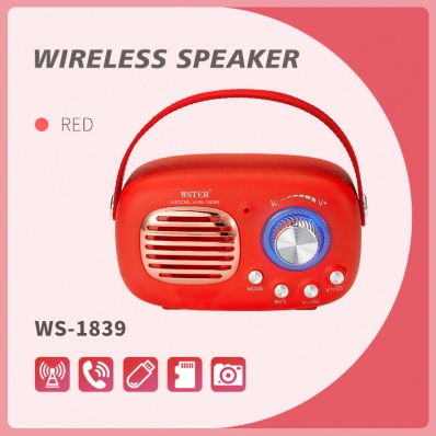 diffusore bluetooth WSTER WS-1839