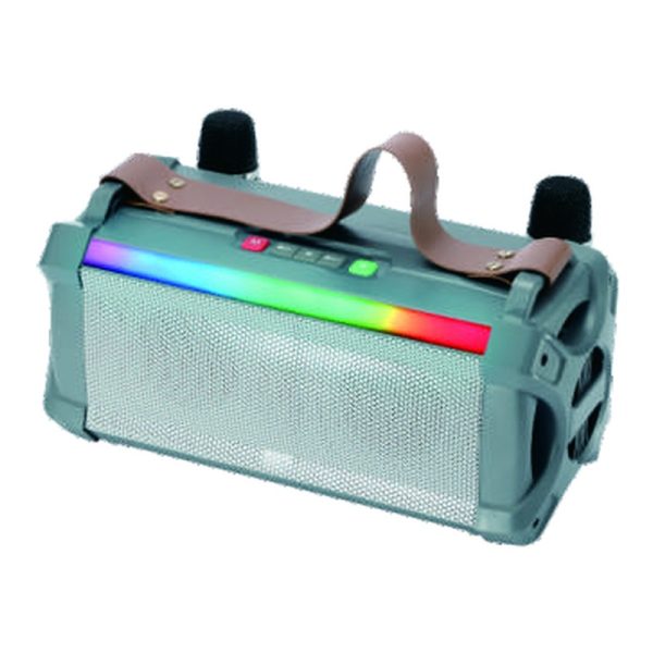WSTER WS-1971 Portable Karaoke Bluetooth Speaker - view 3