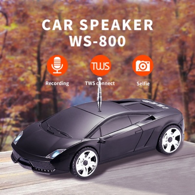 WSTER WS-800 Auto-Modell Bluetooth-Lautsprecher