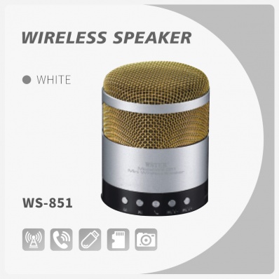 WSTER WS-851 Bluetooth-Lautsprecher