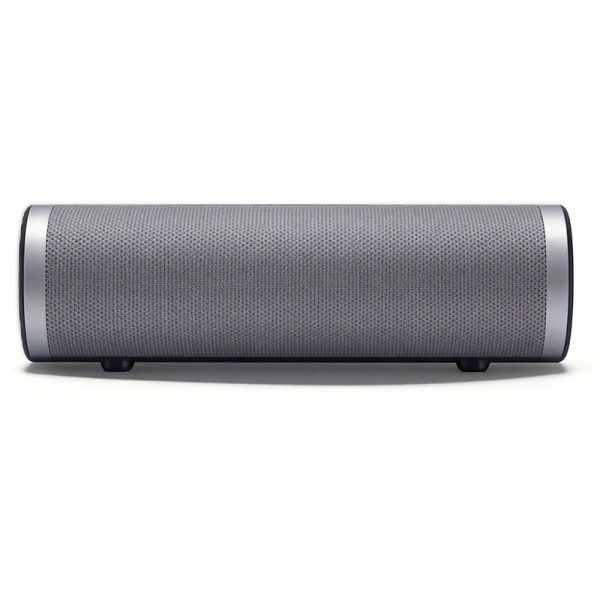 WS-620 Altoparlante Bluetooth con Radio FM Stereo Doppia, Altoparlante Wireless USB/TF