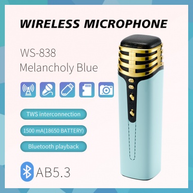 micro karaok&eacute; WSTER WS-838
