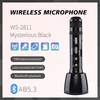WSTER WS-2811 カラオケマイク