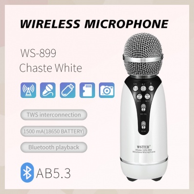 microphone karaok&eacute; WSTER WS-899