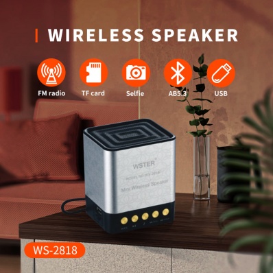 WSTER WS-2818 bluetooth speaker