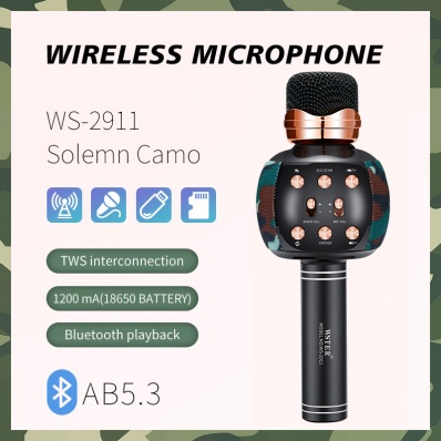WSTER WS-2911 microfono karaoke