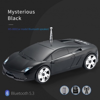 WSTER WS-800 Auto-Modell Bluetooth-Lautsprecher